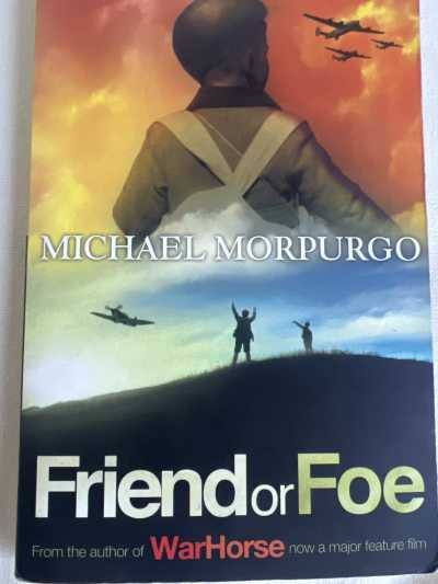 Friend or Foe