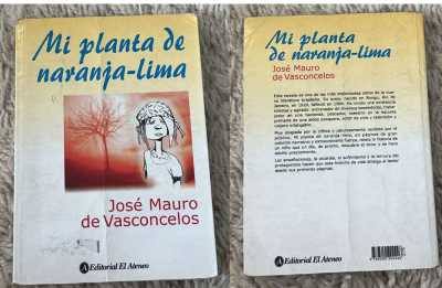 Mi planta de naranja lima