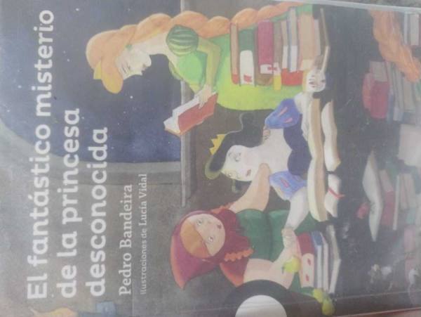 El fantástico misterio de la princesa desconocida.