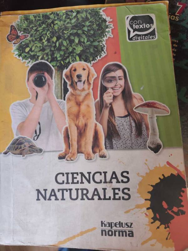 Ciencias Sociales 8 - 3 Ciclo Egb / Con Vivencias