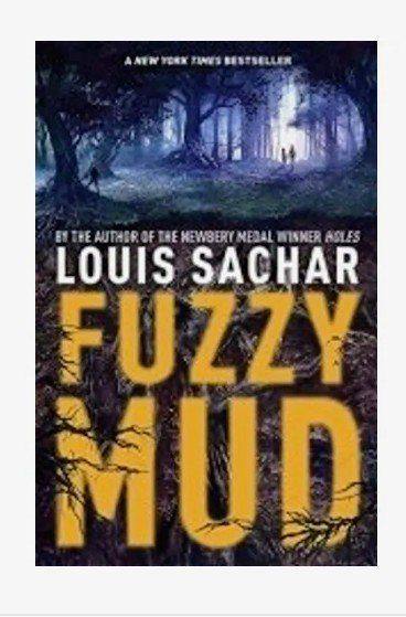 Fuzzy Mud