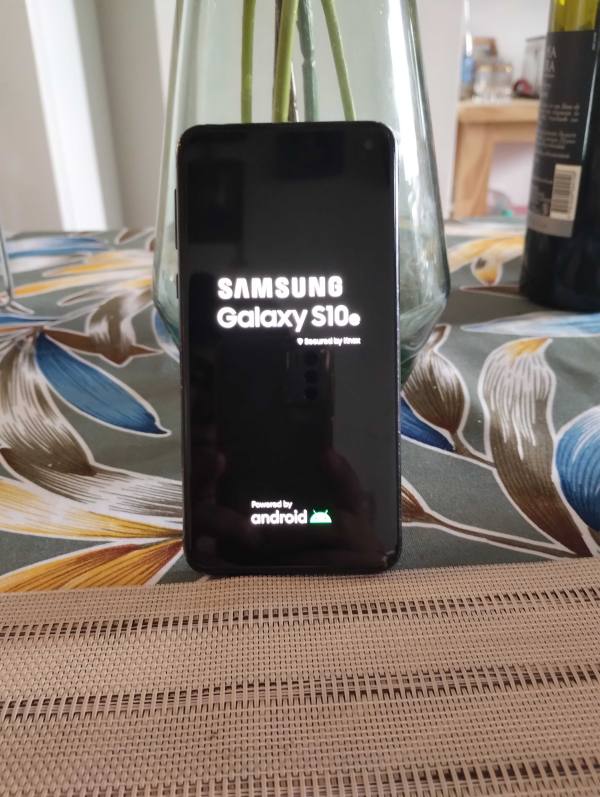 Samsung Galaxy S10e