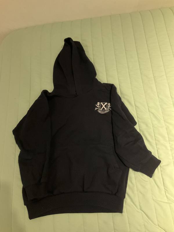 Buzo hoodie