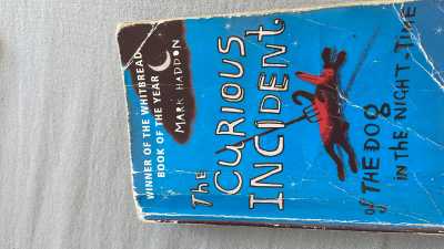 The curious incident