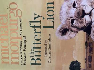 The butterfly Lion