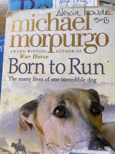Born to run