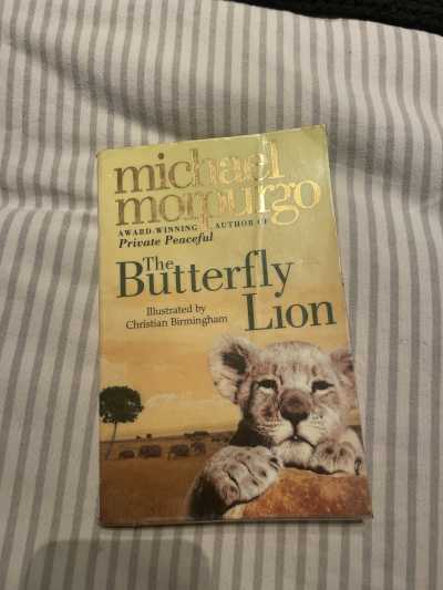 The Butterfly Lion