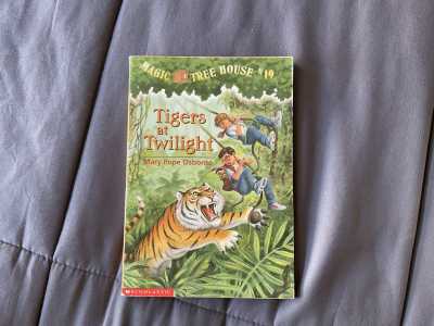 Tigers at Twilight