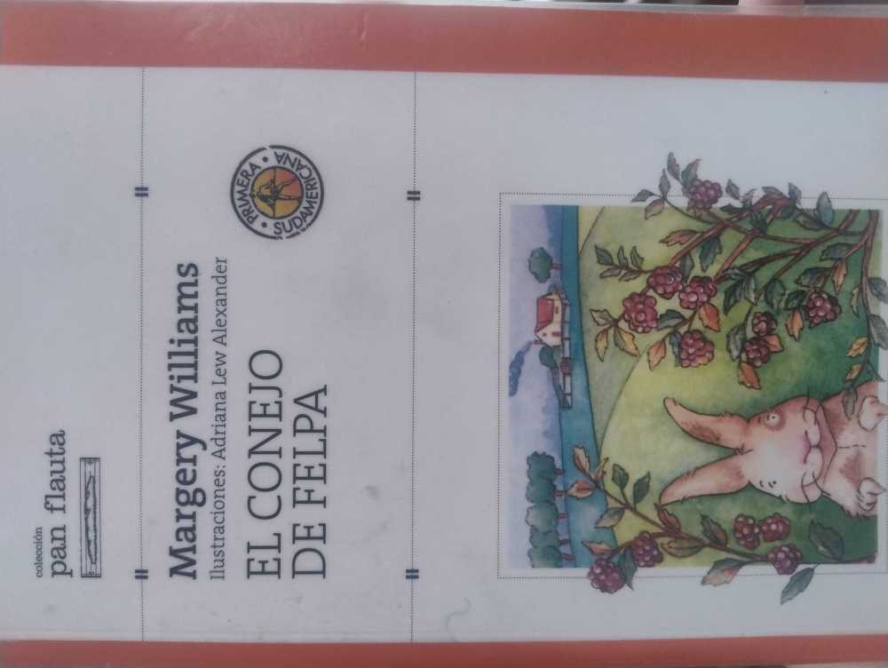 El conejo de felpa