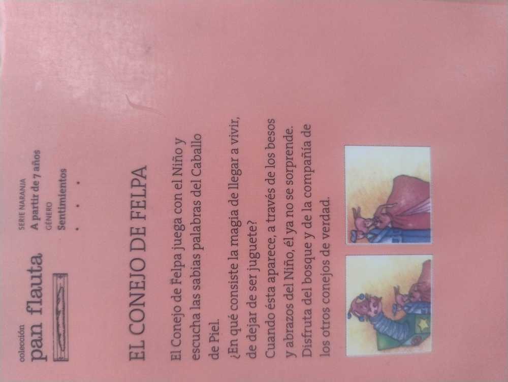 Foto 5 de El conejo de felpa