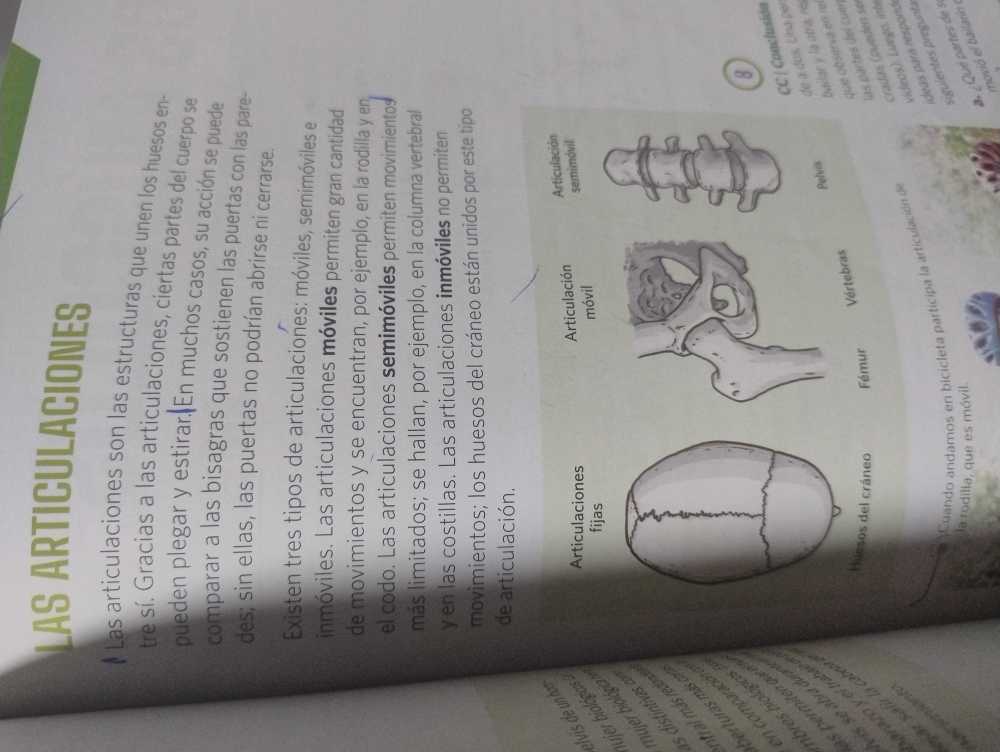 Foto 8 de Insignia Ciencias Naturales 4 Caba