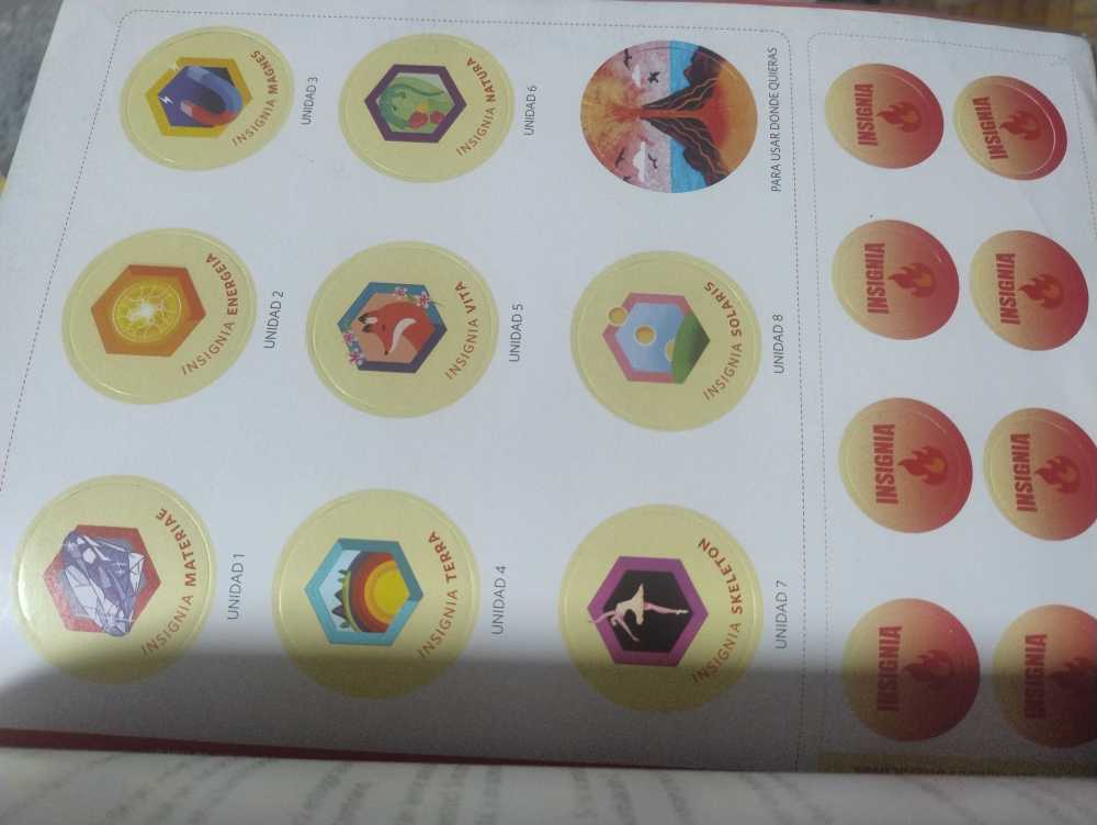 Foto 10 de Insignia Ciencias Naturales 4 Caba
