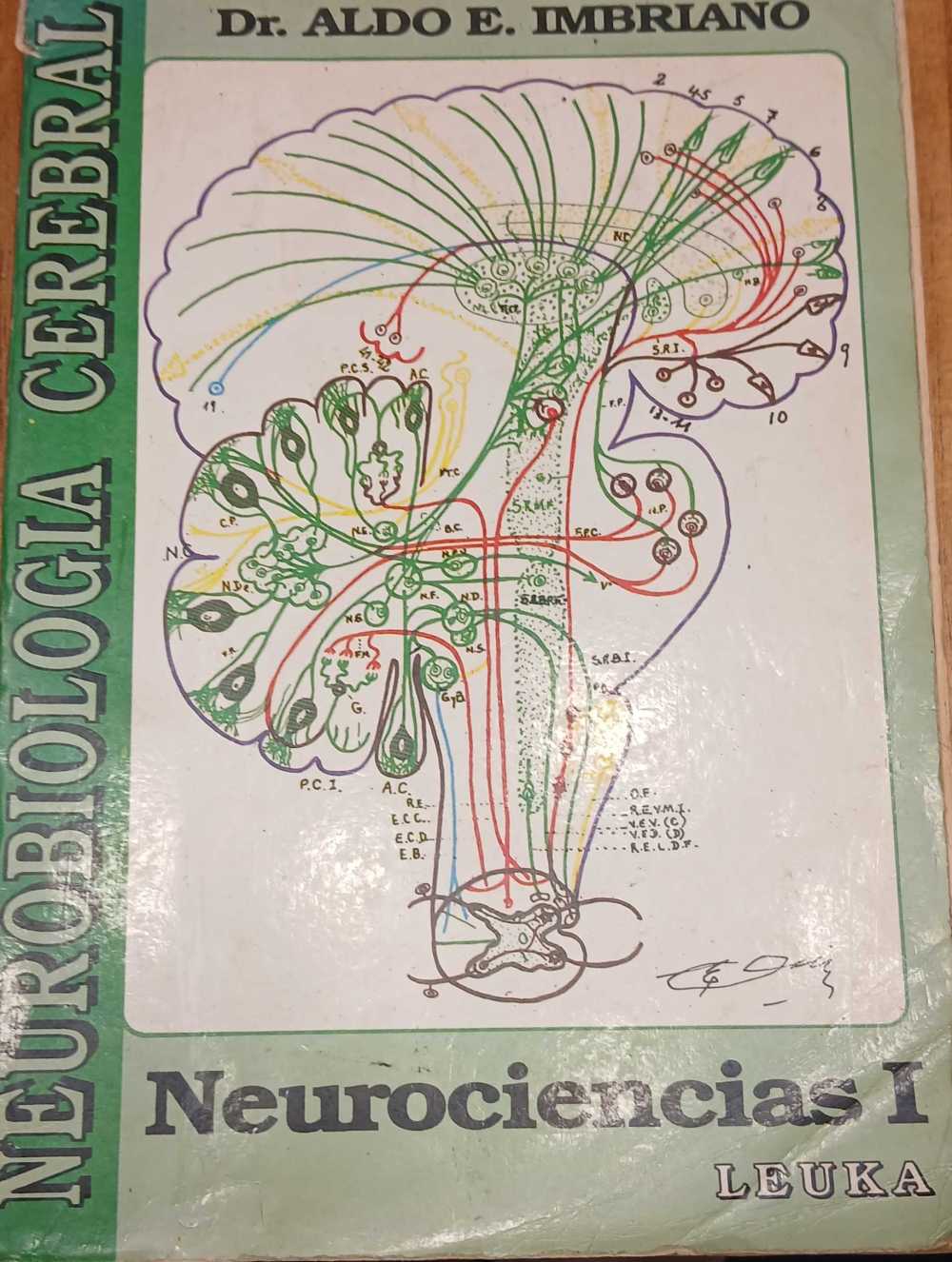 Neurociencia I