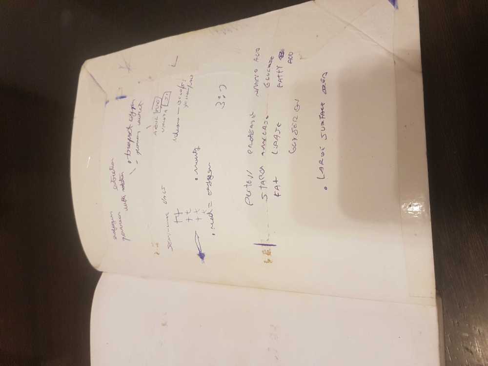 Foto 4 de Essential Biology dir Cambridge 2nd edition