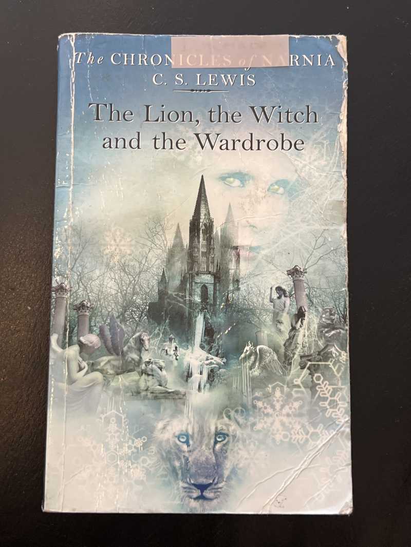 Foto 2 de The Lion, the Witch and the Wardrobe