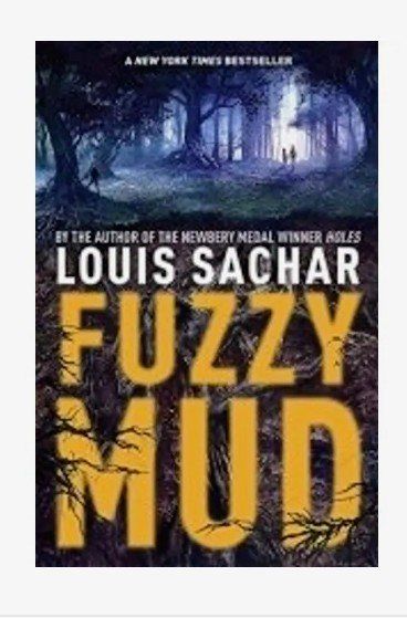 Fuzzy Mud