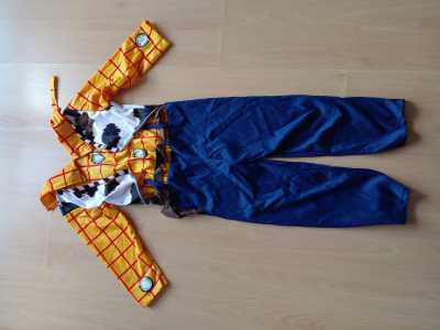 Disfraz woody