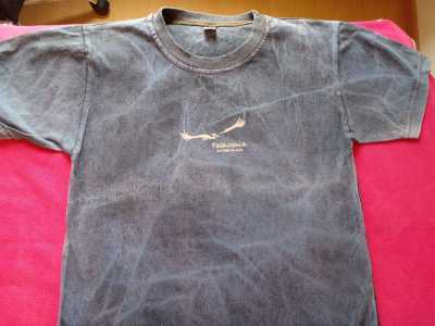 Foto 6 de Remeras talle 8